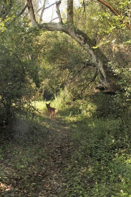 Photo of Others in Buffalo Hills Game Reserve