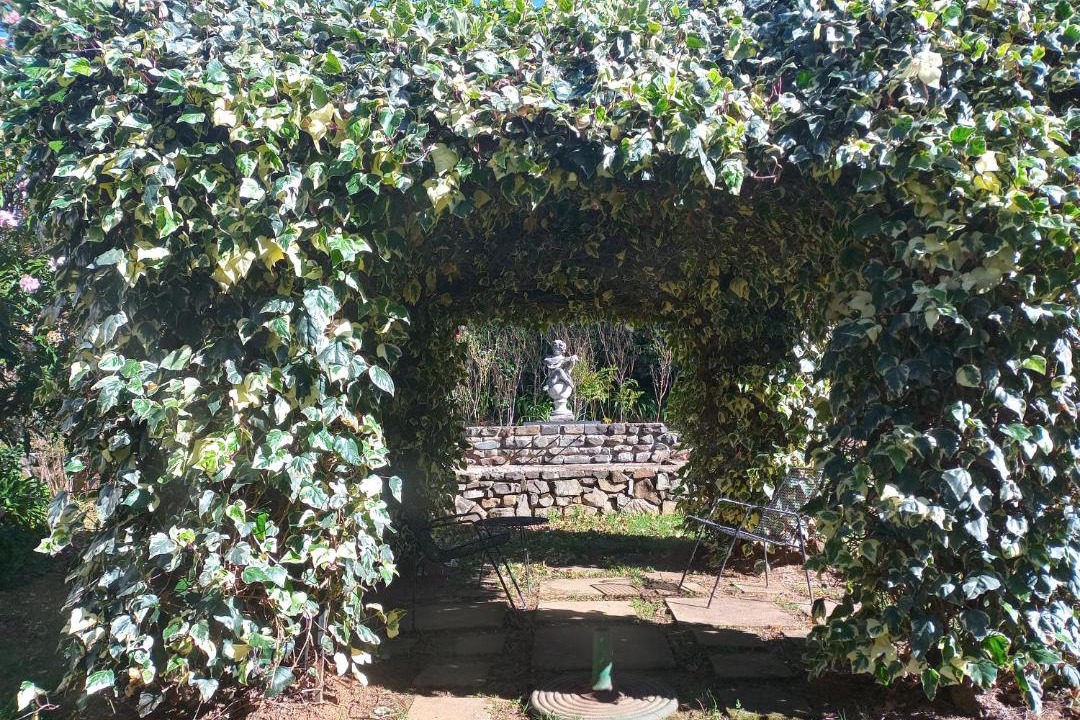 Photo of Outdoor in Hogsback
