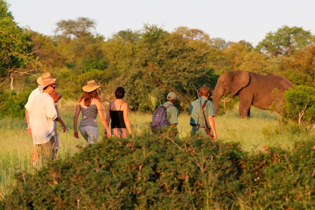 Photo of Others in Kruger National Park