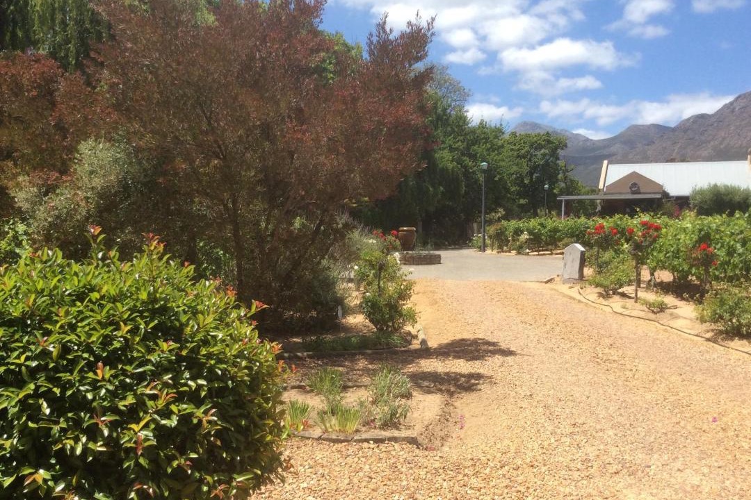 Photo of Others in Franschhoek