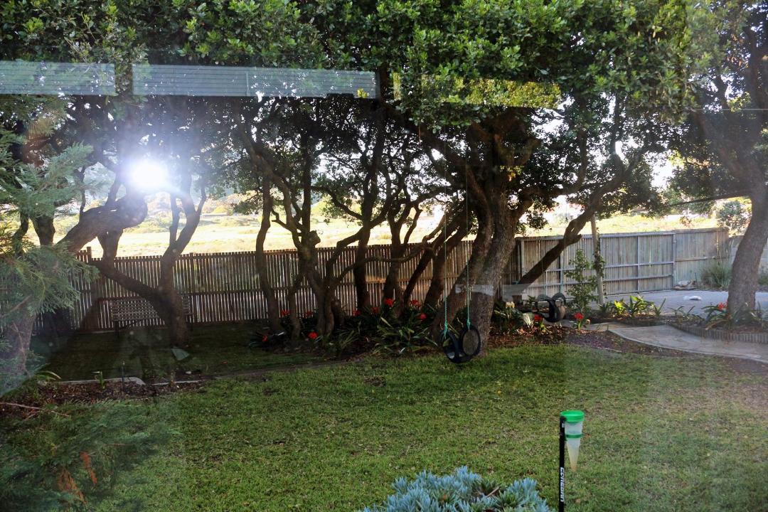 Photo of Others in Kommetjie