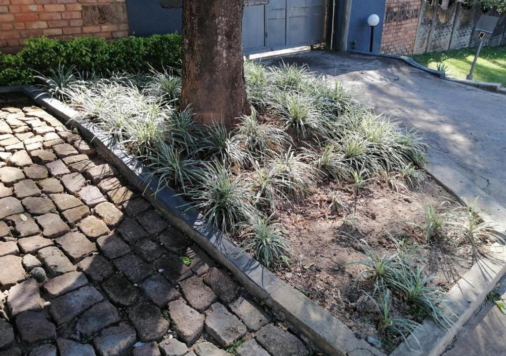 Photo of Outdoor in Tzaneen