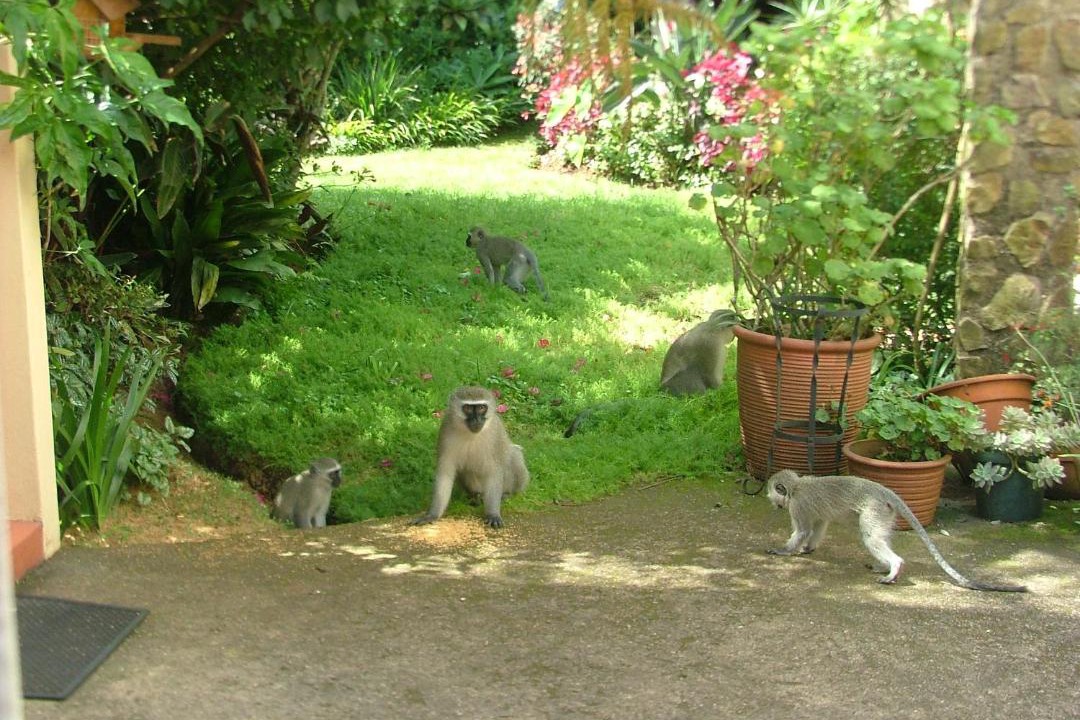 Photo of Others in Gillitts