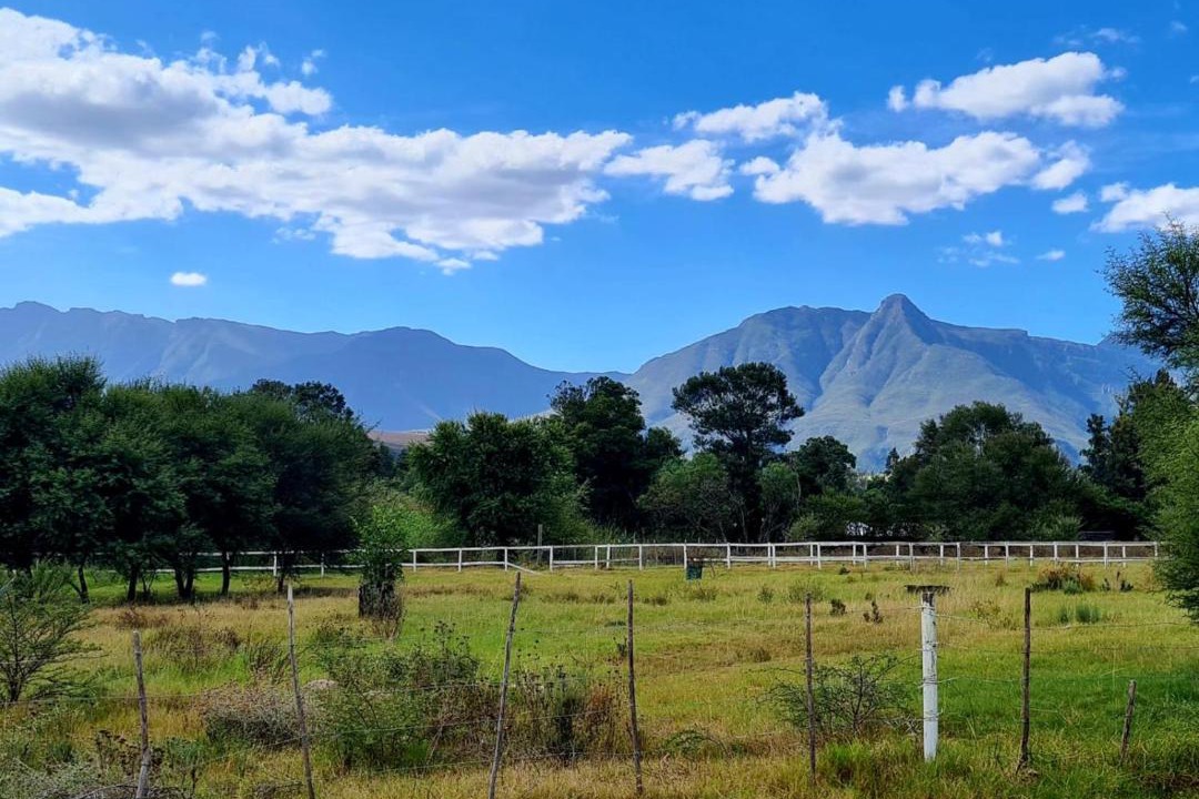 Photo of Others in Swellendam