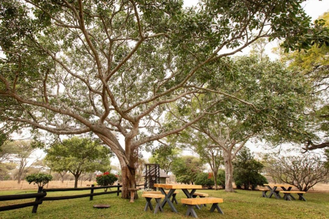 Photo of Outdoor in Louis Trichardt