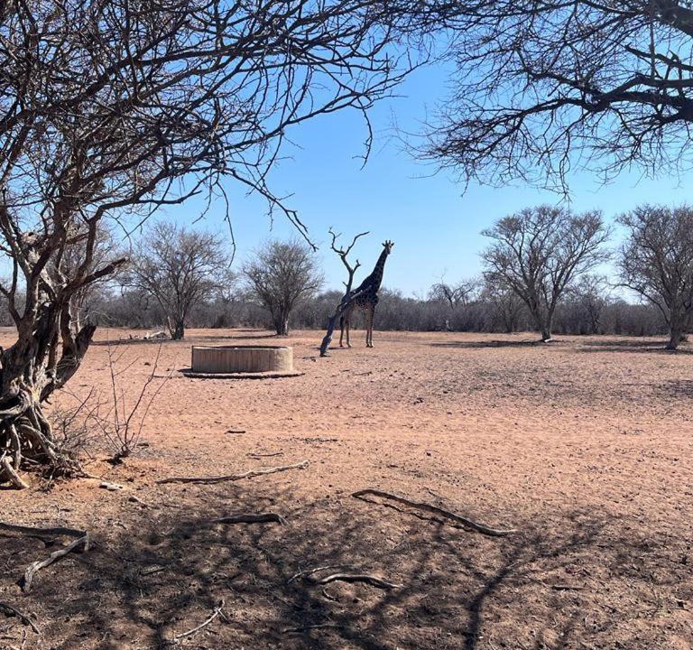 Photo of Others in Thabazimbi