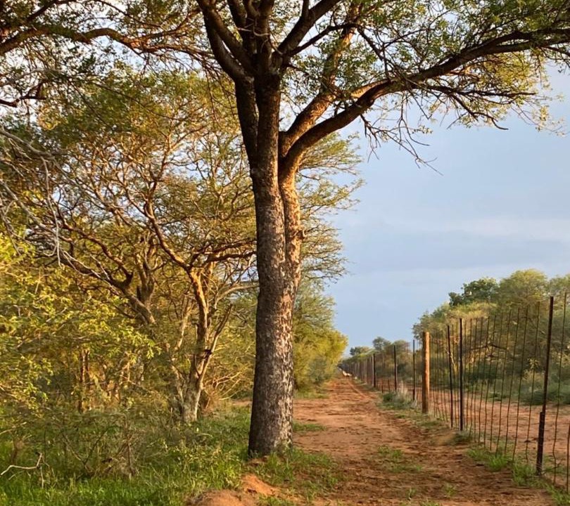 Photo of Others in Thabazimbi