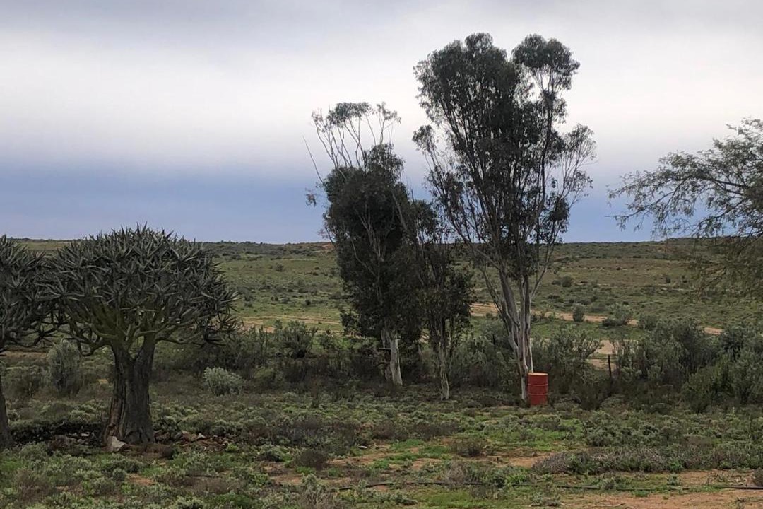 Photo of Others in Kamiesberg
