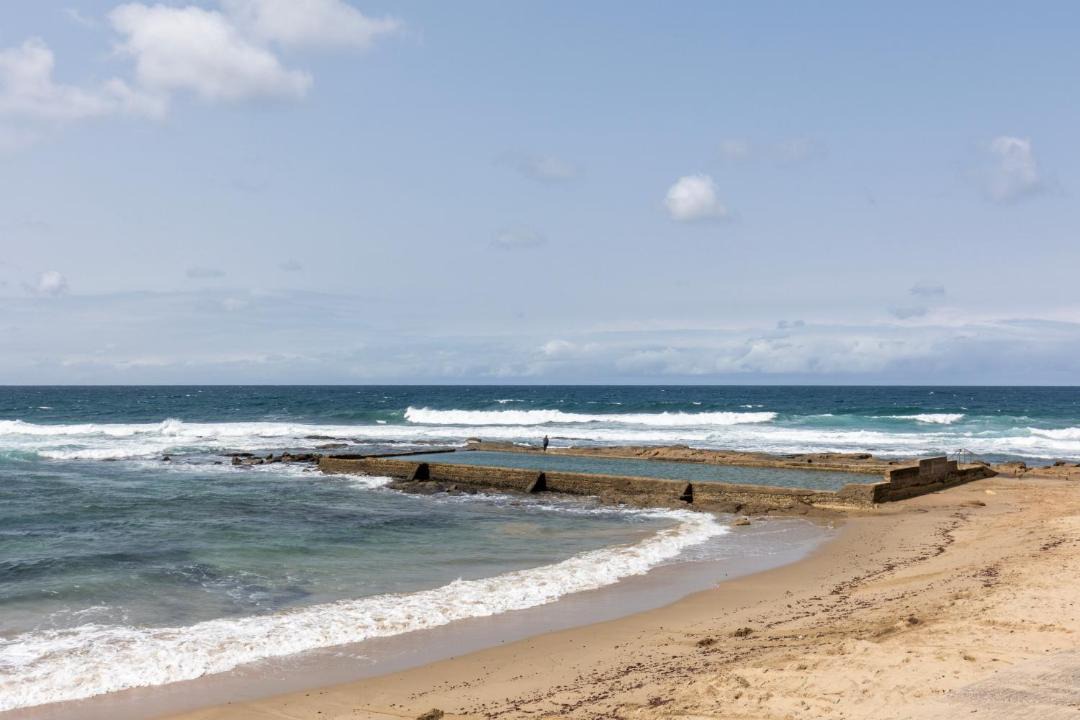 Photo of Others in Shelly Beach