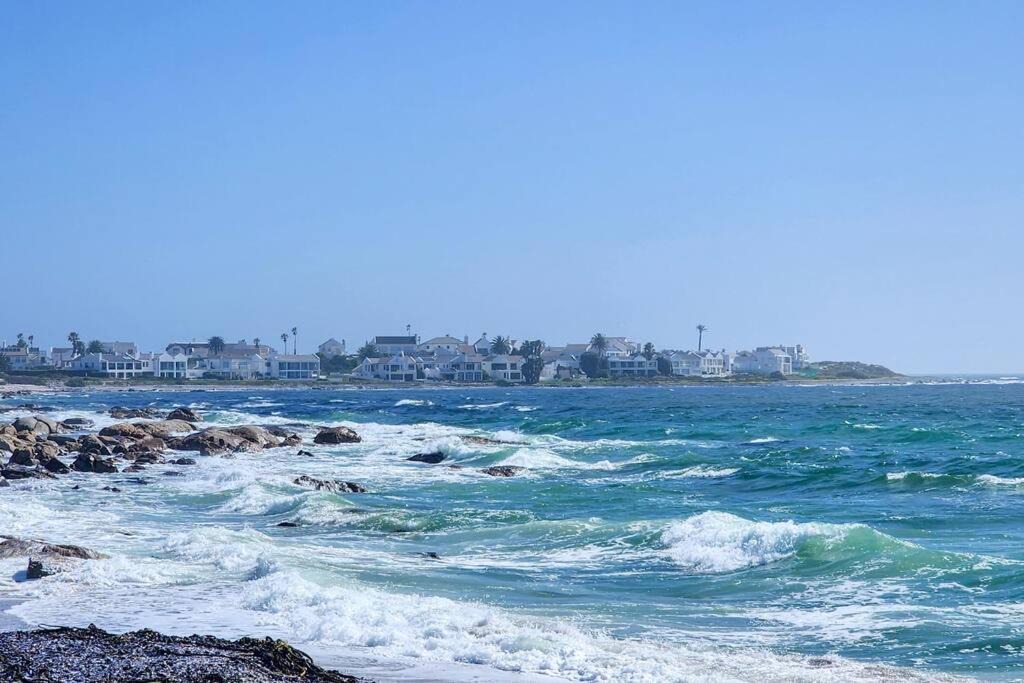 Photo of Others in Shelley Point
