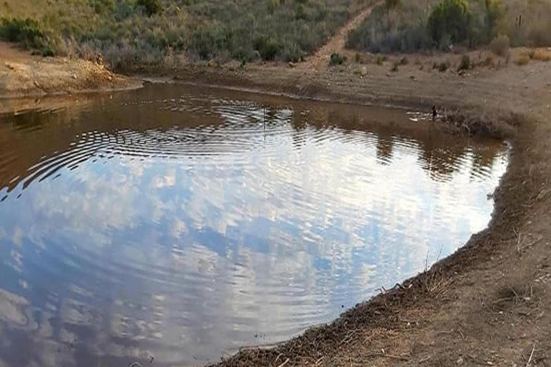 Photo of Others in Barrydale