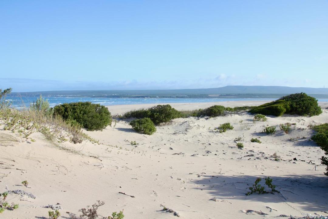 Photo of Others in Witsand
