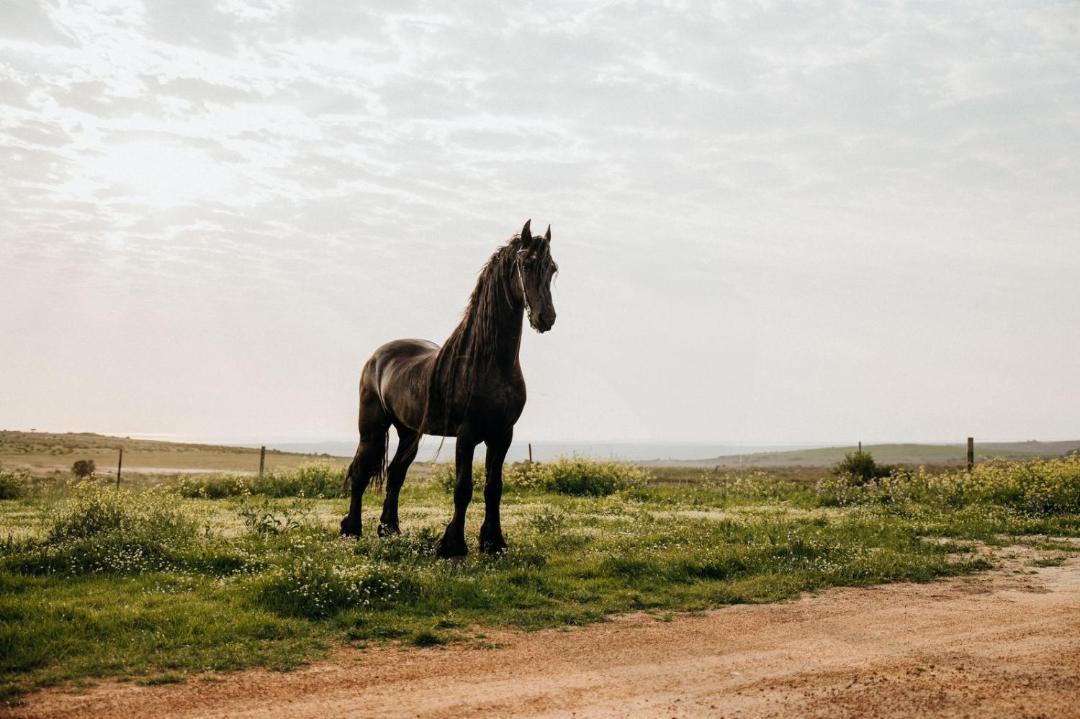Photo of Others in Yzerfontein