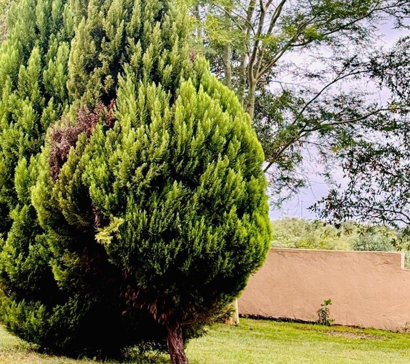 Photo of Others in Bushbuckridge