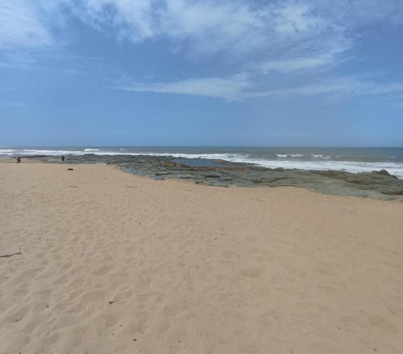 Photo of Others in Shelly Beach