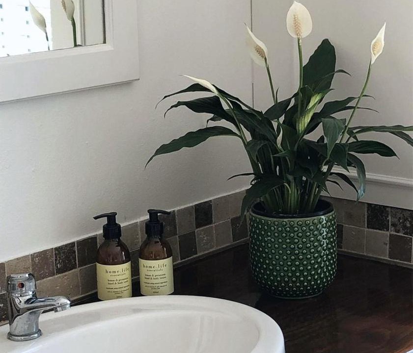 Photo of Bathroom in Stanford
