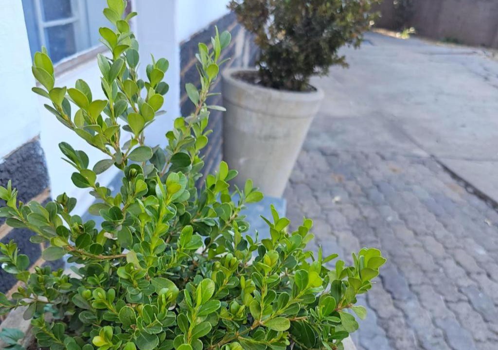 Photo of Outdoor in Middelburg