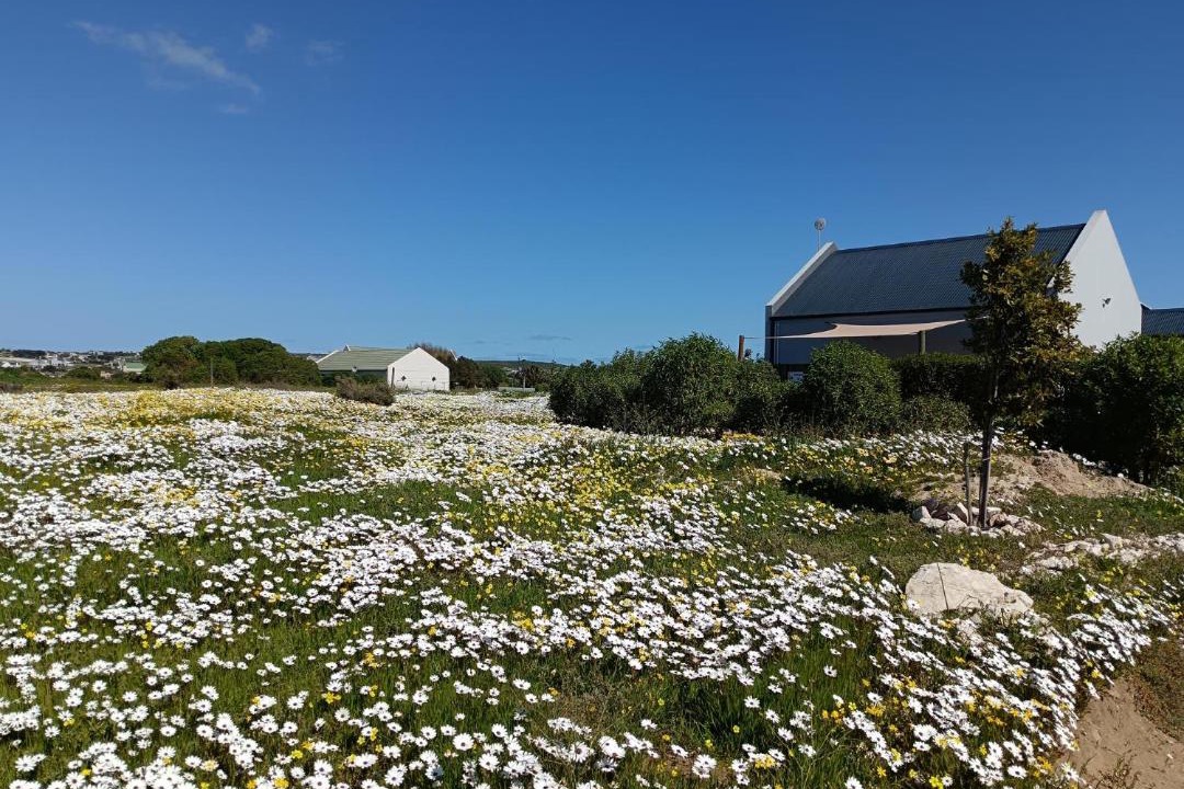 Photo of Others in Langebaan