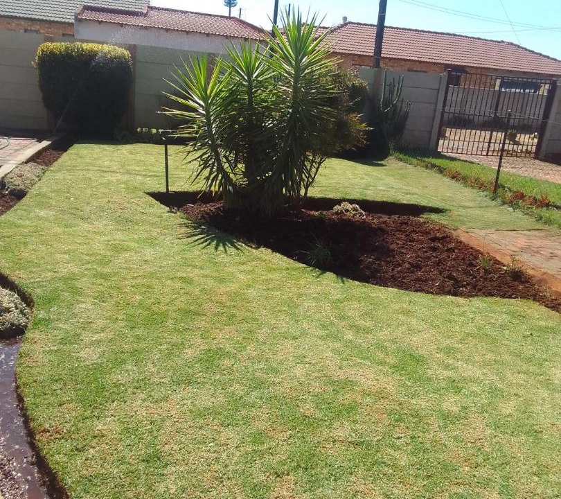 Photo of Others in Greater Johannesburg Metropolitan Area