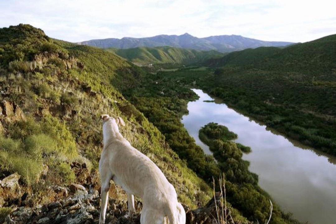Photo of Others in Calitzdorp