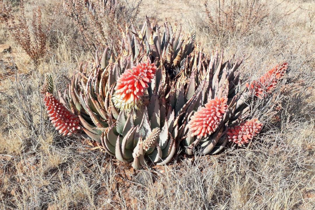 Photo of Others in Thembelihle