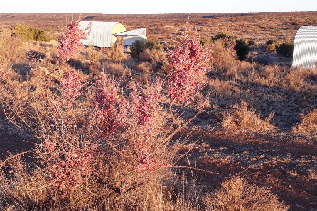 Photo of Others in Thembelihle