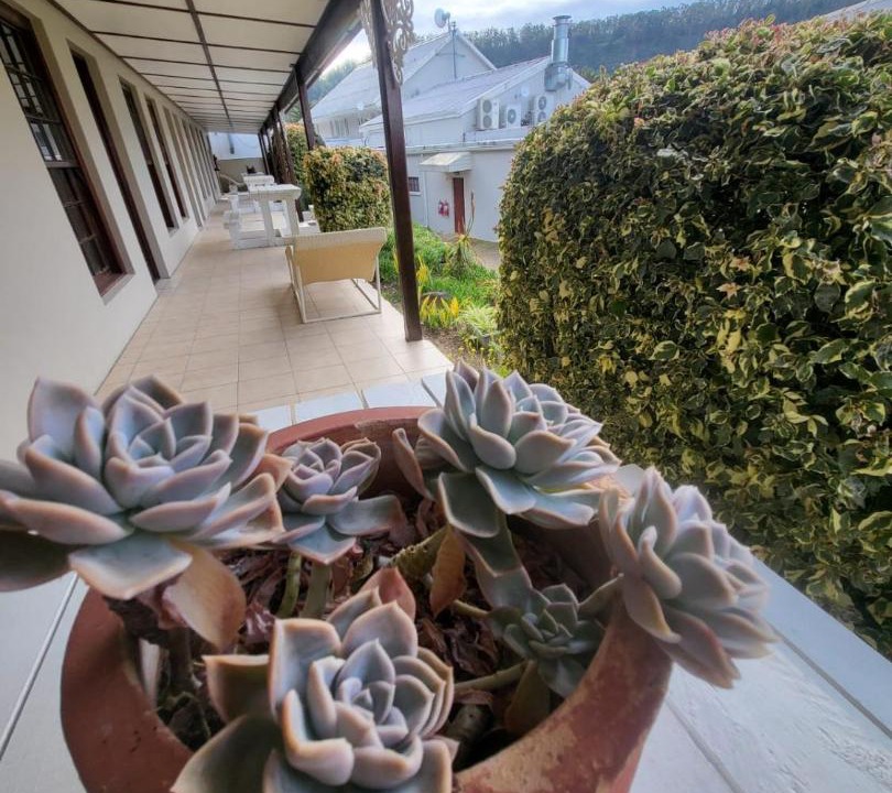 Photo of Patio Balcony in Sedgefield