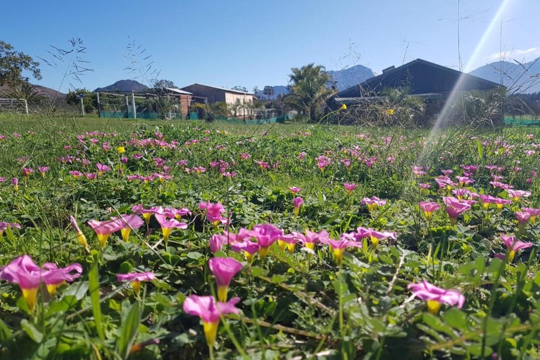 Photo of Outdoor in Tulbagh