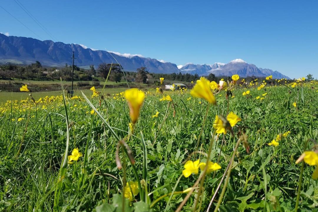 Photo of Others in Tulbagh
