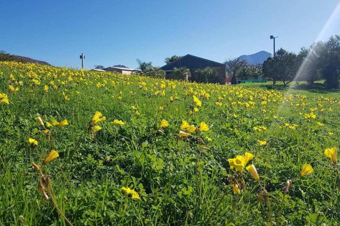 Photo of Outdoor in Tulbagh