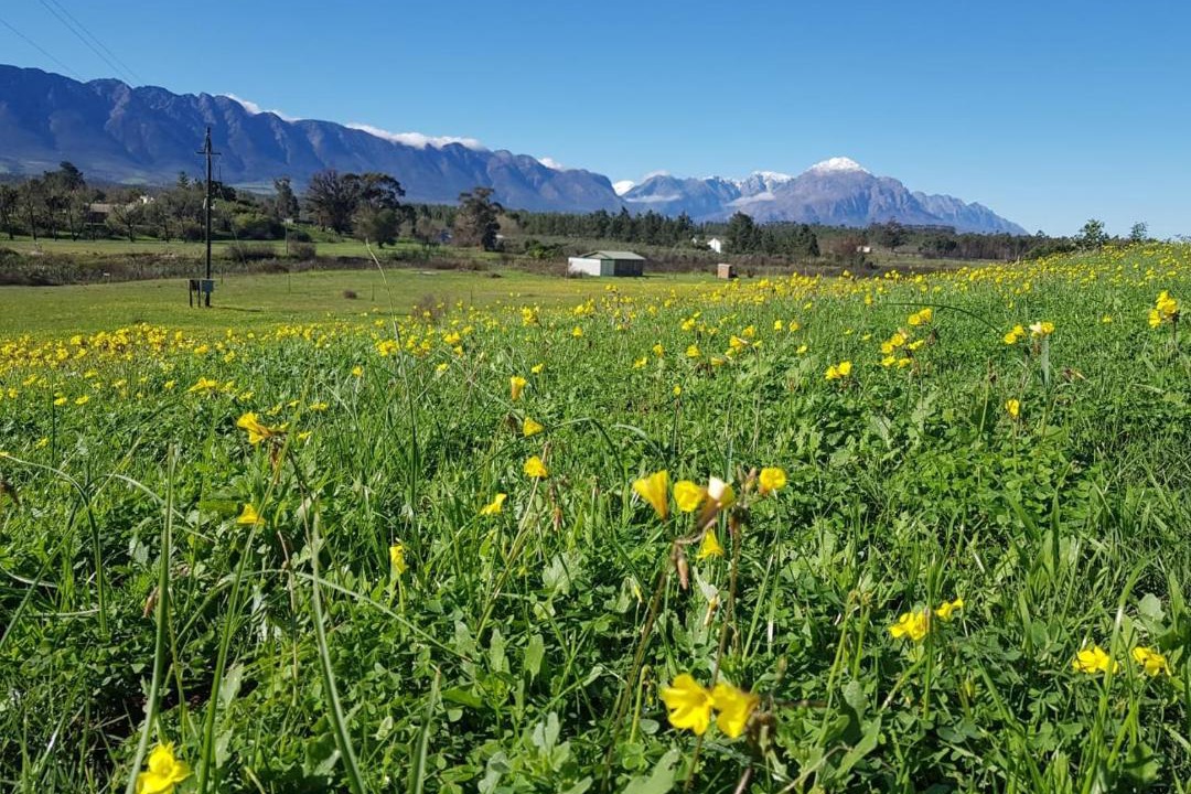 Photo of Others in Tulbagh