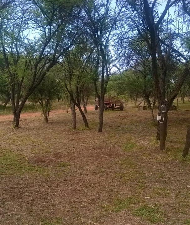 Photo of Others in Naboomspruit