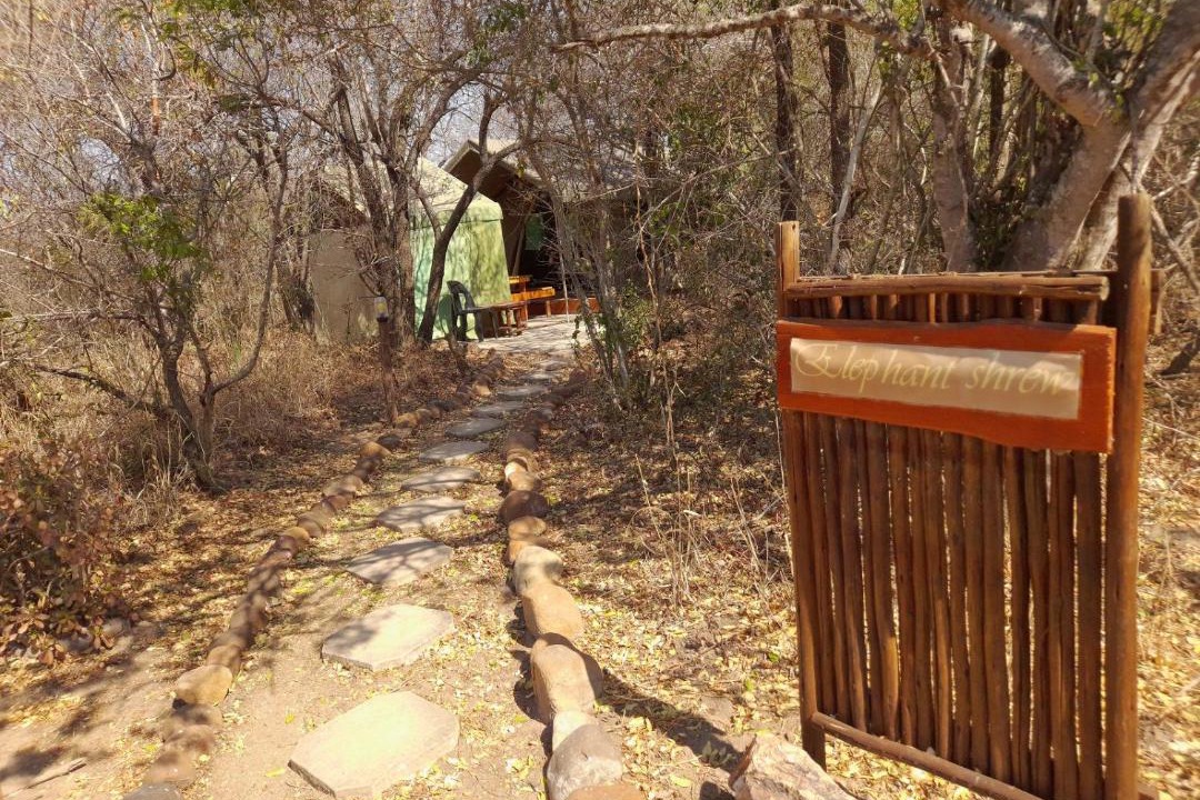 Photo of Others in Thorny Bush Game Reserve
