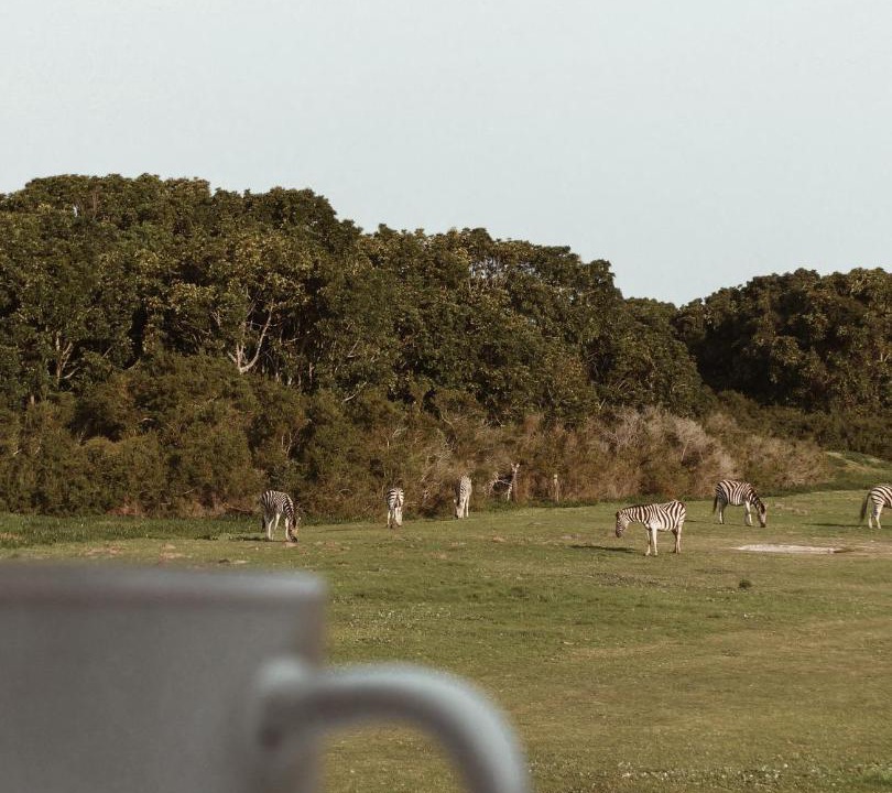 Photo of Others in Plettenberg Bay
