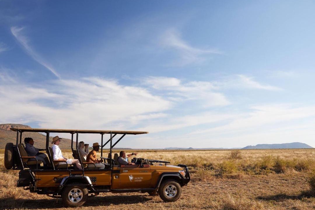 Photo of Others in Madikwe Game Reserve