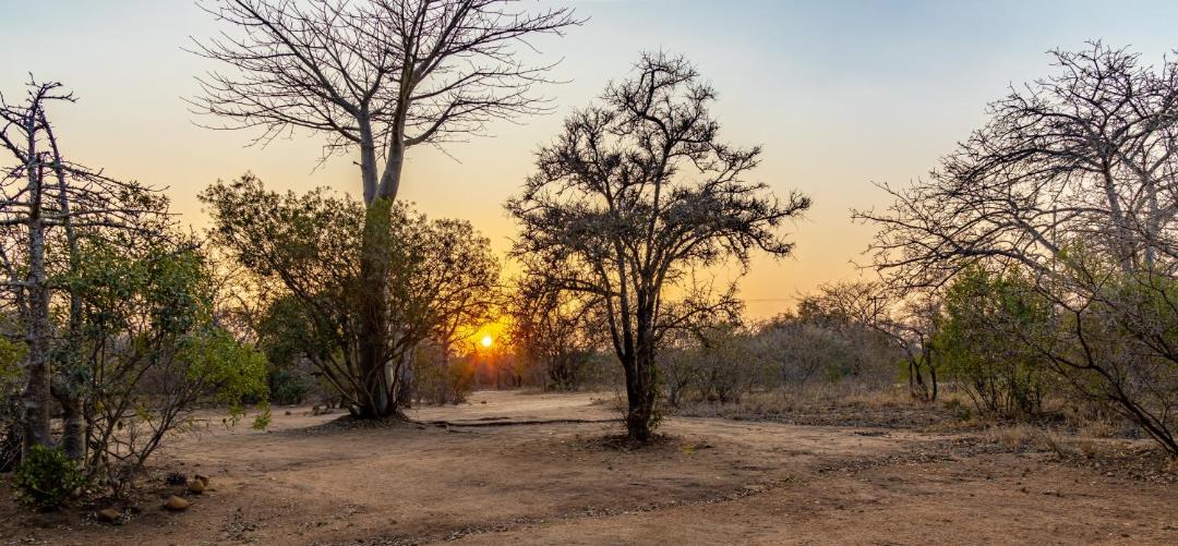 Photo of Others in Thorny Bush Game Reserve