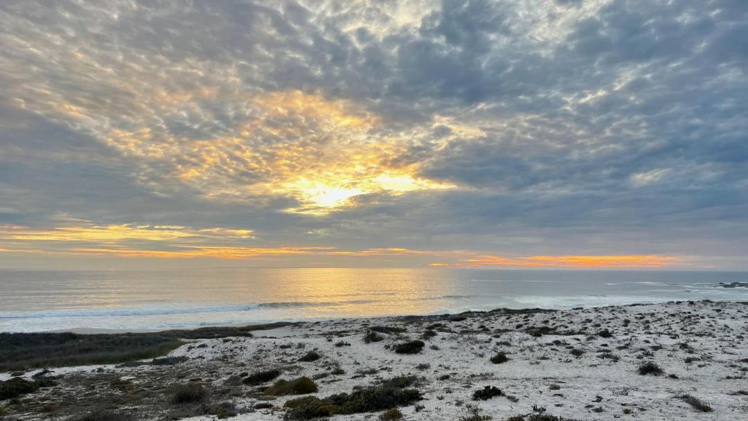 Photo of Others in Yzerfontein