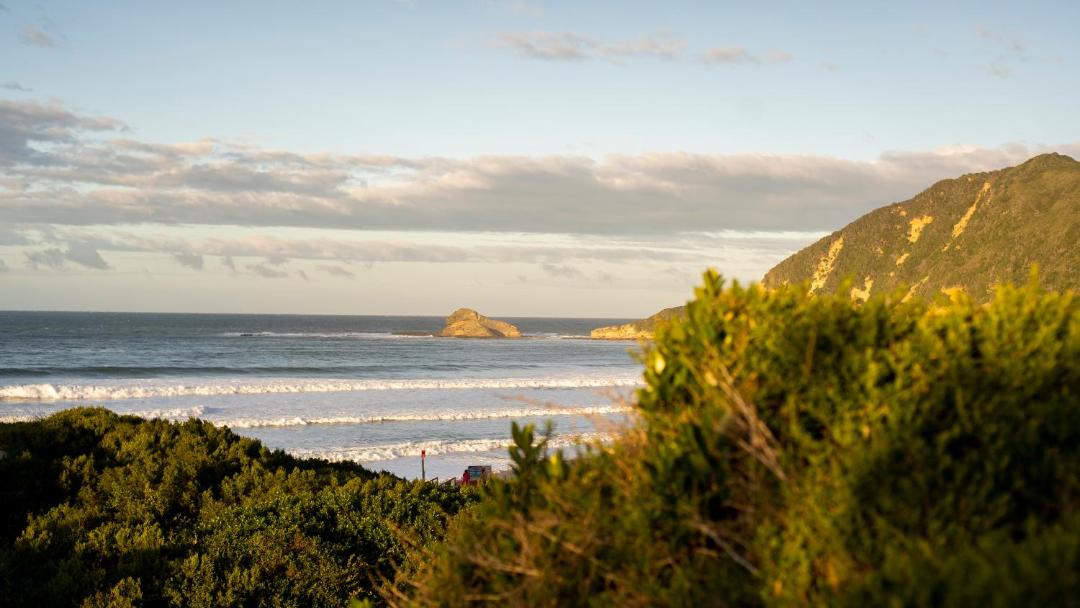 Photo of Others in Sedgefield