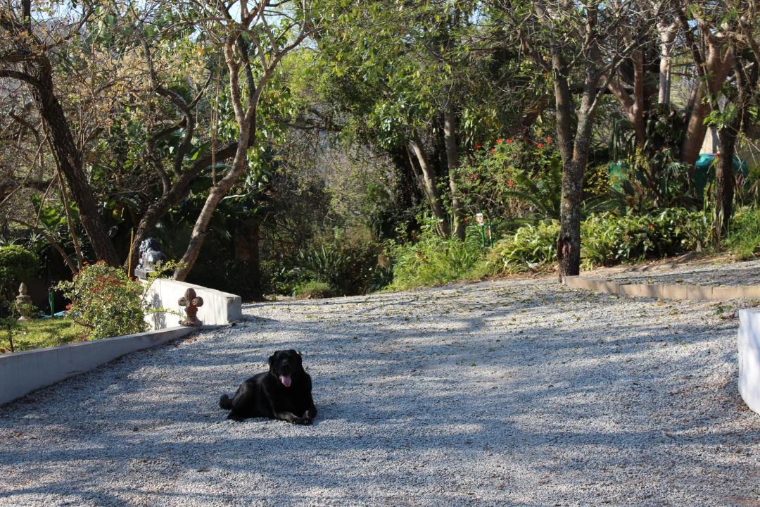 Photo of Others in Nelspruit