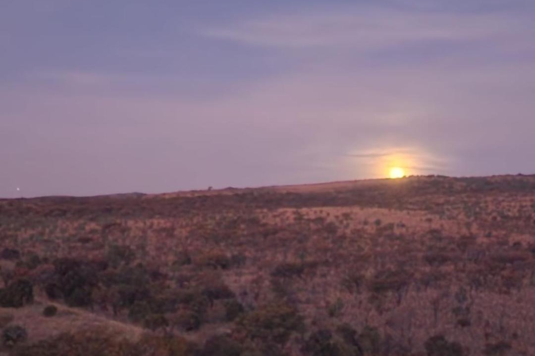 Photo of Others in Buffelspoort