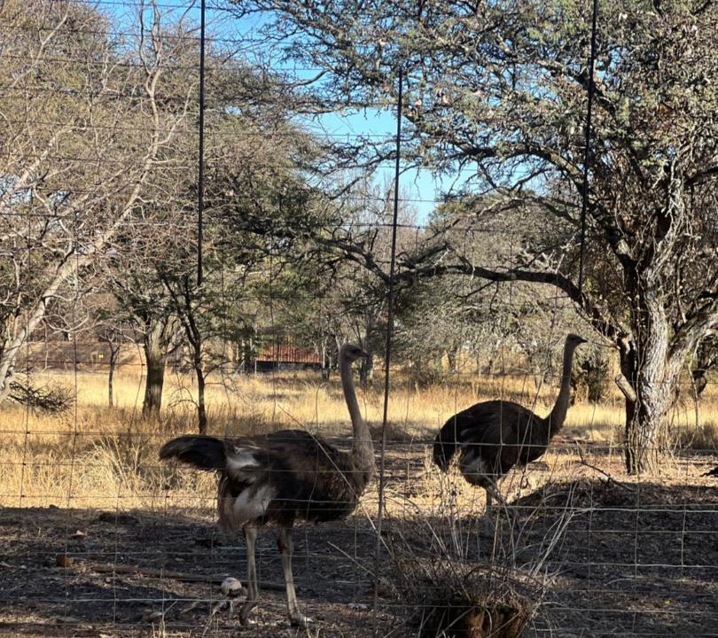 Photo of Others in Klerksdorp