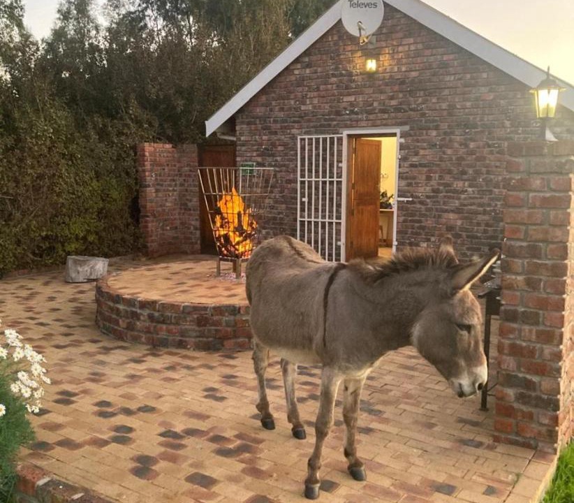 Photo of Others in Bonnievale