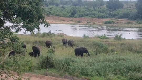 Photo of Others in Marloth Park