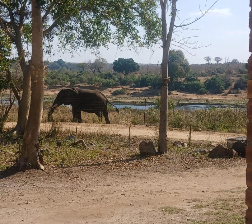Photo of Others in Marloth Park