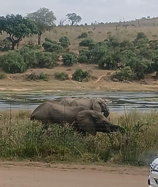 Photo of Others in Marloth Park