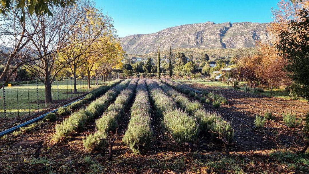 Photo of Others in Barrydale
