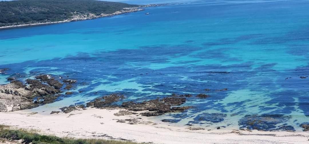Photo of Others in Gansbaai