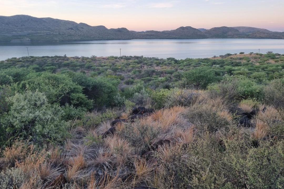 Photo of Others in Vanderkloof