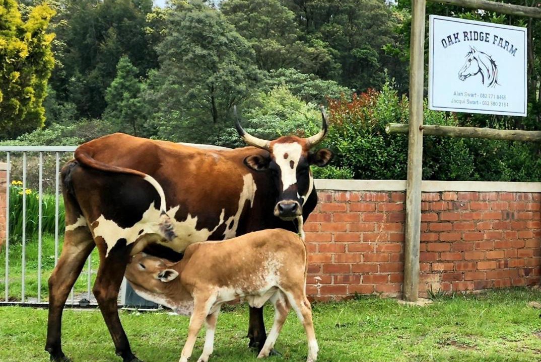 Photo of Others in Nottingham Road