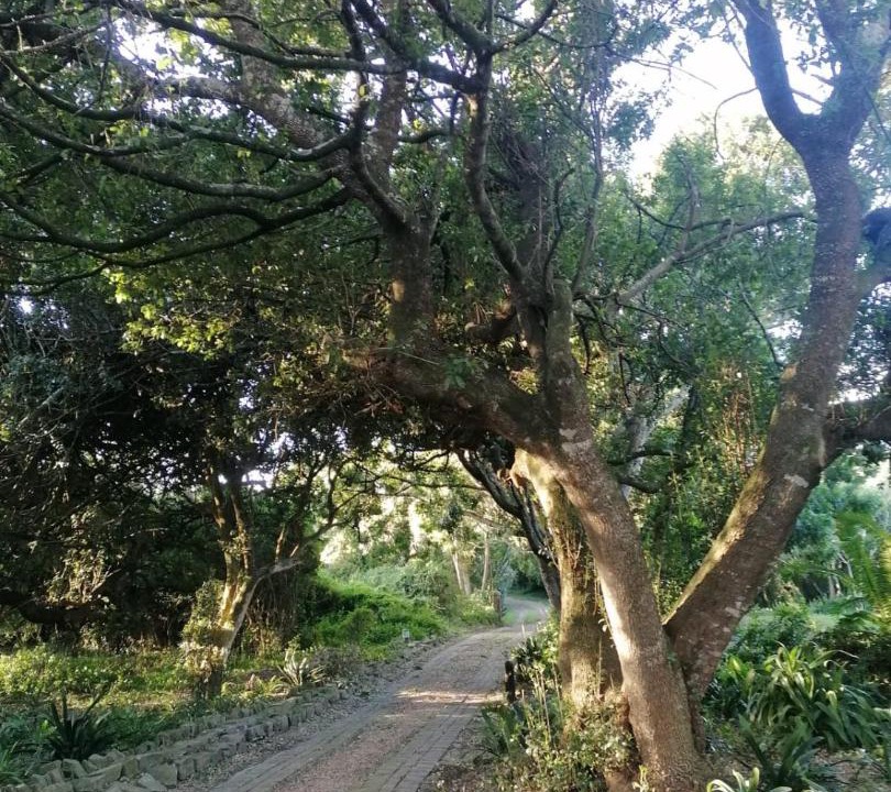Photo of Outdoor in Port Elizabeth